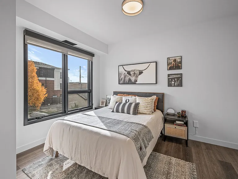 Olive Apartments — Photo 15