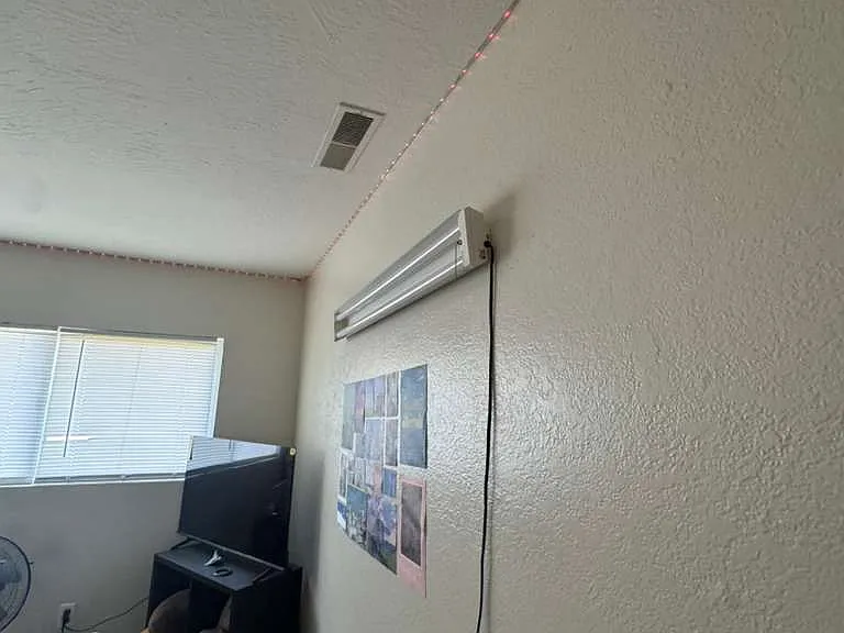 650 Daffodil Way — Photo 12