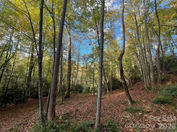 6 Dividing Ridge Trl #1, Arden, NC 28704