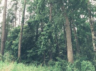 S Beech Ave Tract #F, Andrews, SC 29510