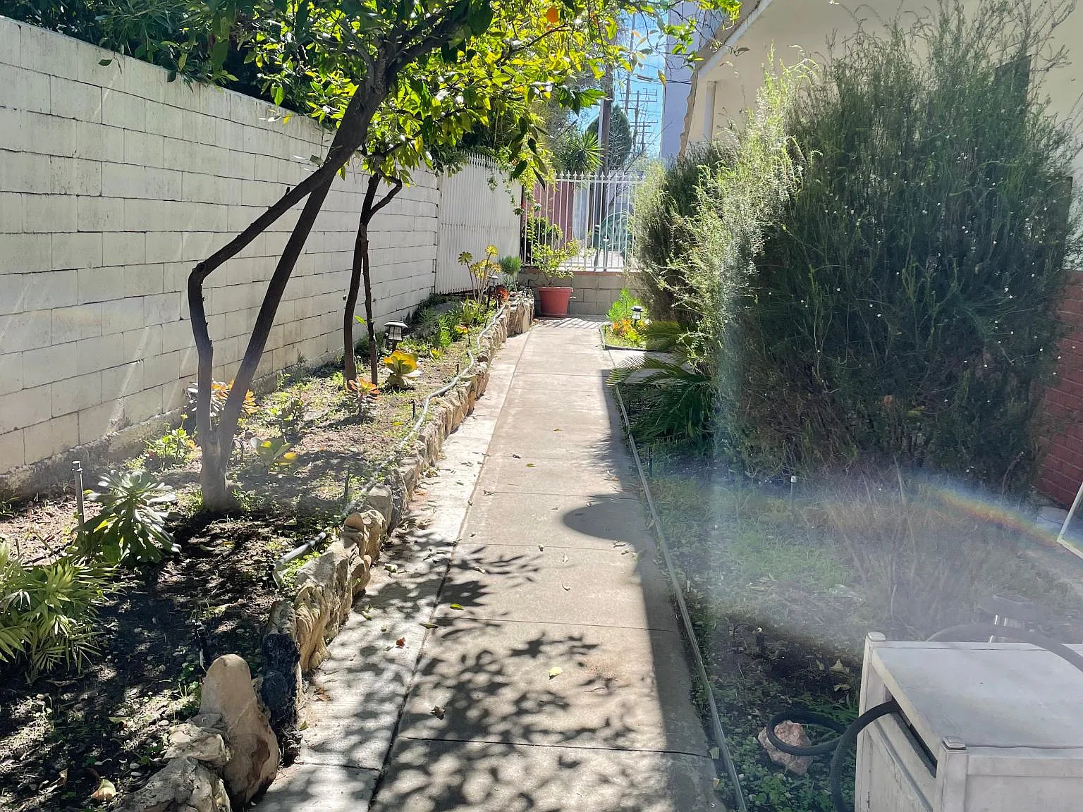 2 bed, 970 sqft, $2,500 — Photo 4