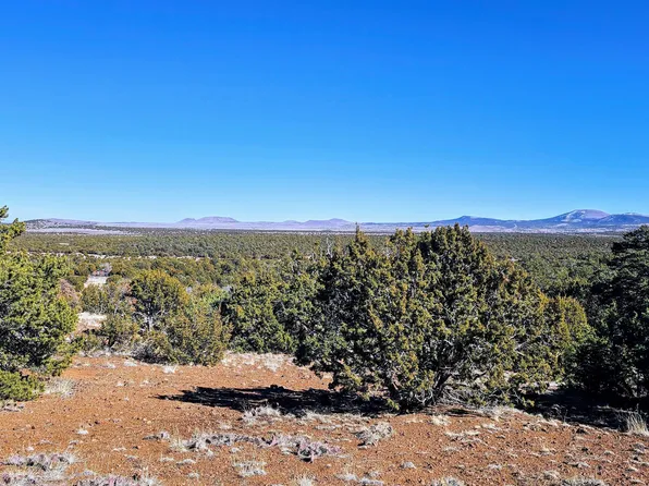 76 N3130, Vernon, AZ 85940
