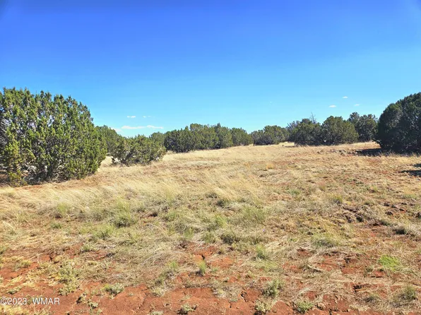 20 Colorado Ave, Concho, AZ 85924
