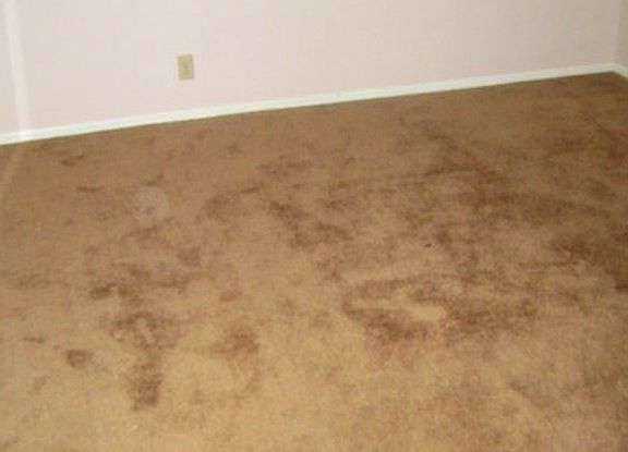 2nd image of 1042 Molino Ave
