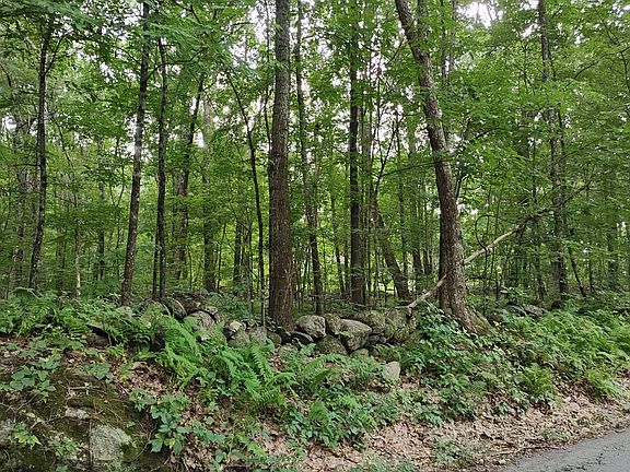 4th image of 0 Old West Brookfield Rd