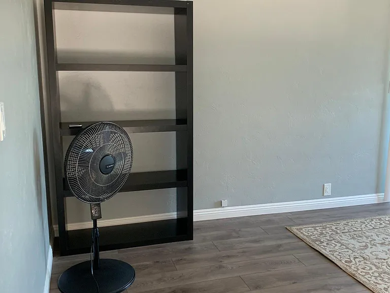 Shelf in living room included for SDSU students. The fan, too.