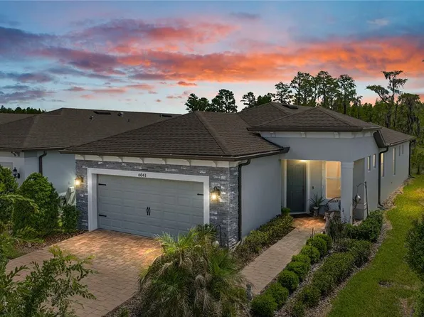 6041 Shorebird Br, Land O Lakes, FL 34638