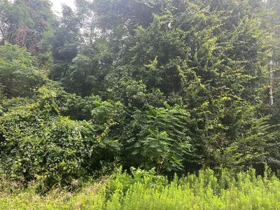 0 NW 60th Ave LOT 13, Jennings, FL, 32053