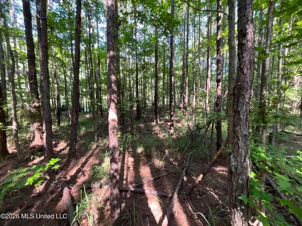 Fox Rd, Gloster, MS 39638