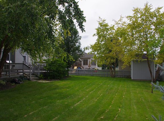 Back yard