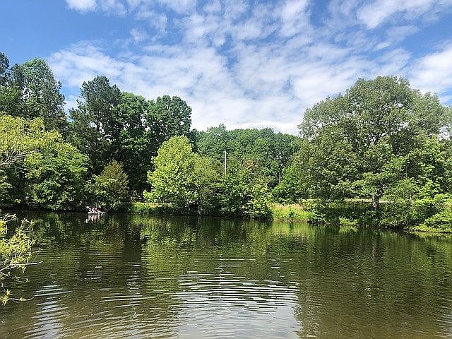 Pond
