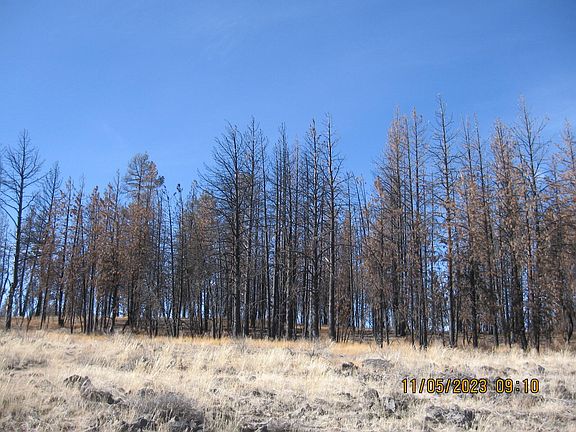 3rd image of LOT 18 N White Oak Ln