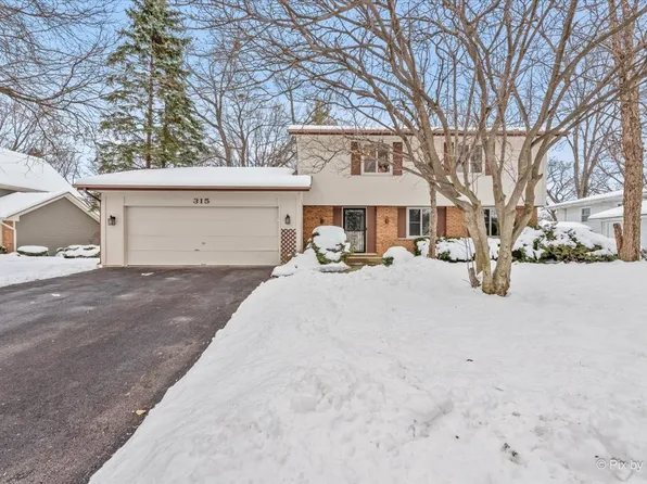 315 Leeds Ct, Naperville, IL 60565