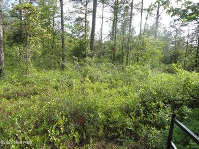 2 River Trail LOT 2, Burgaw, NC, 28425
