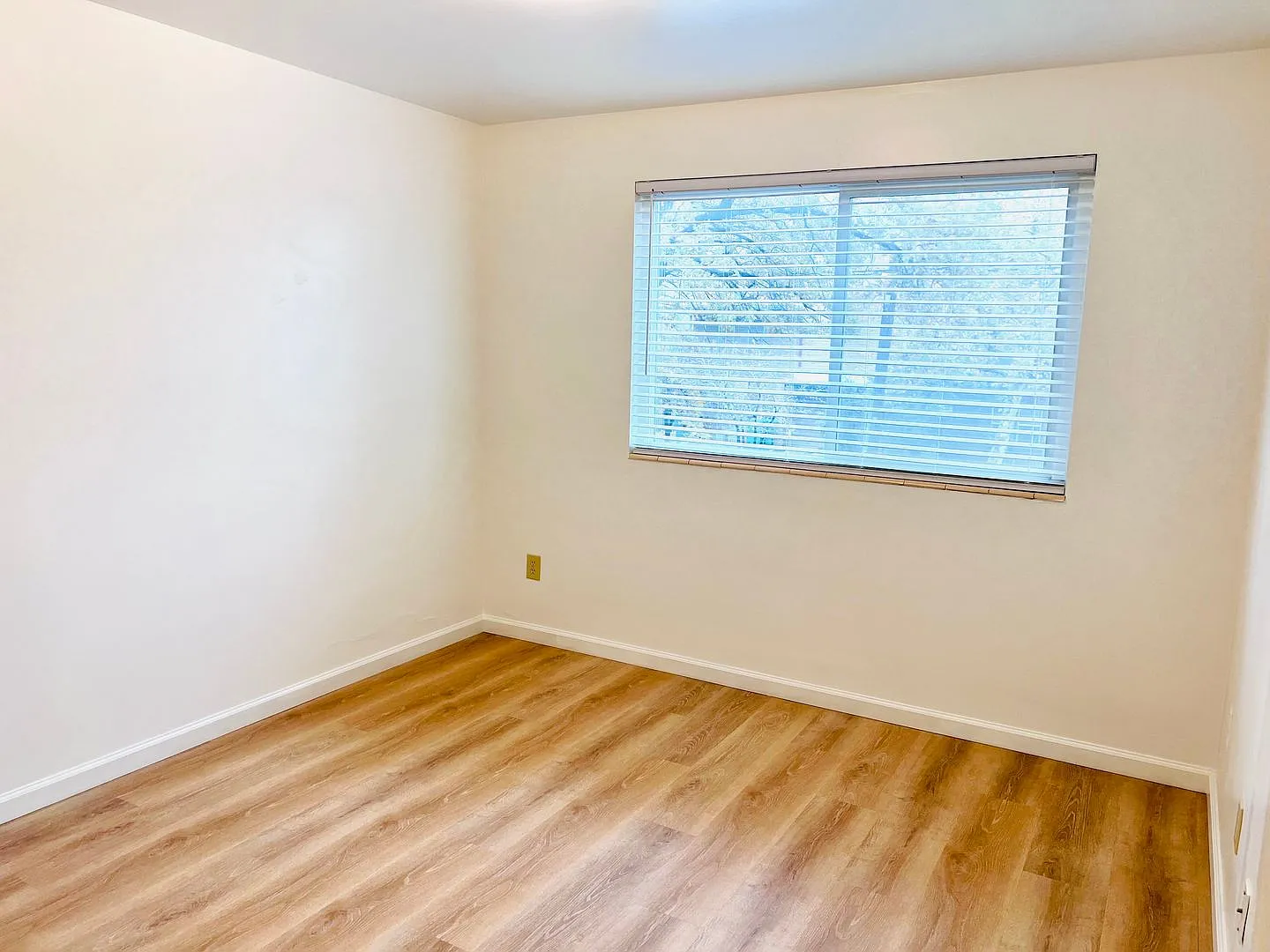 1225 Plumas Street — Photo 3