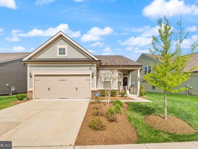 16136 Pink Poppy Way, Haymarket, VA, 20169