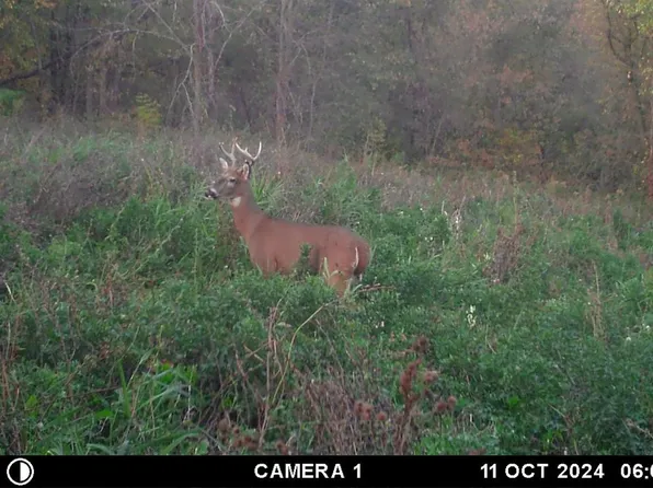 Tract A Highway 171, Gays Mills, WI 54631