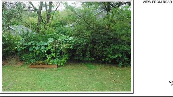 141 Hemlock Dr — Photo 15