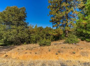 19265 Ponderosa Dr, Volcano, CA