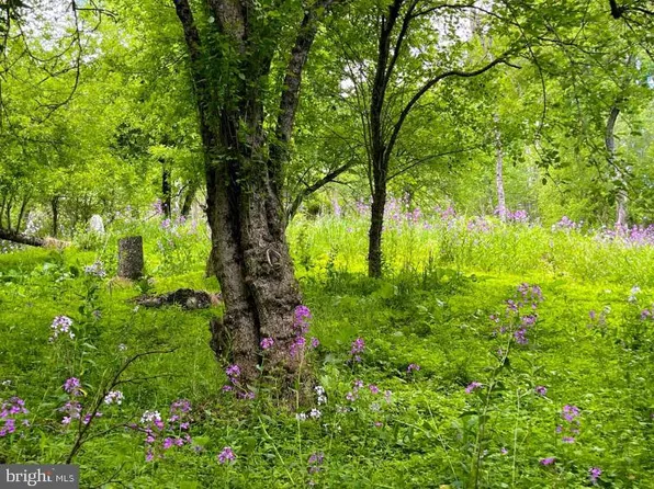 W Mountain Trl, Mc Henry, MD 21541