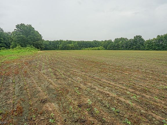3rd image of Duncanson Rd
