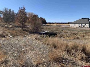 1790 Roubideau St, Delta, CO 81416