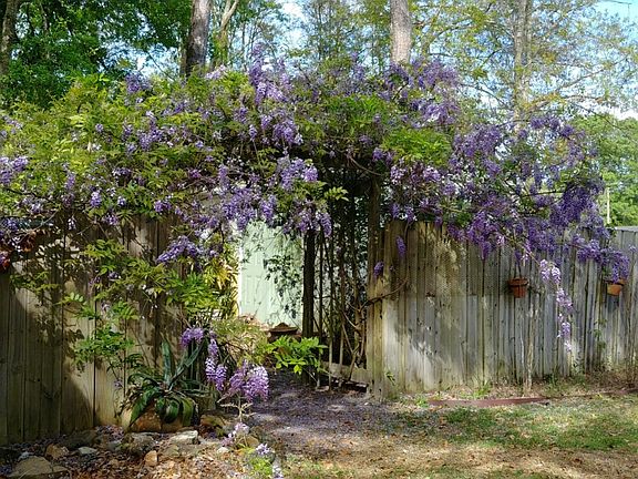 Entrance to back yard