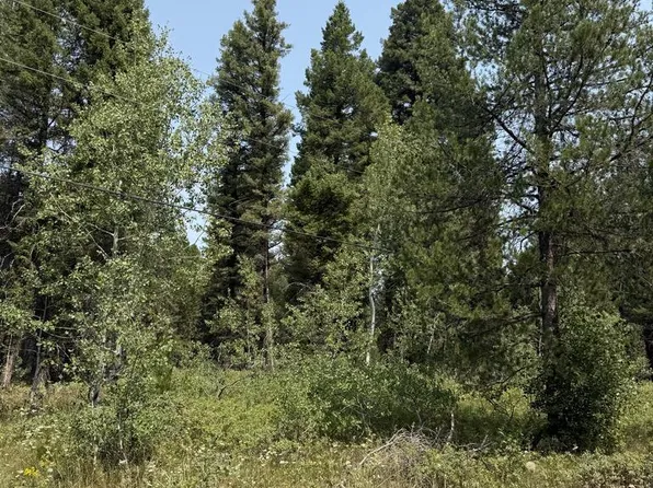 2781 NE Sagehen Dr, Island Park, ID 83429