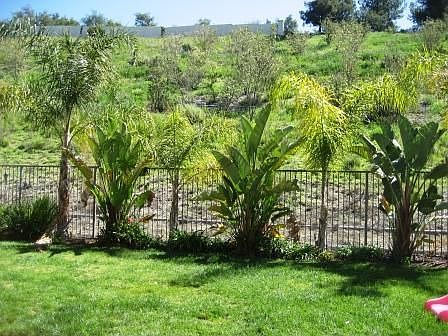 Hills and greenbelt views.
