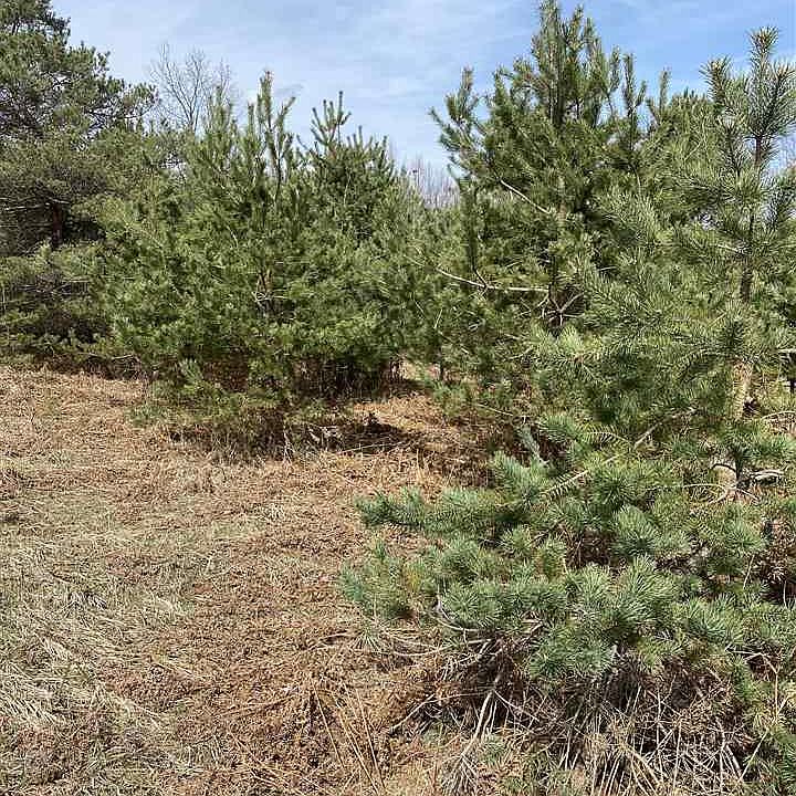 1st image of 28 Lakes Park Pioneer Dr