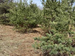 28 Lakes Park Pioneer Dr, Kalkaska, MI 49646