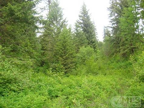 Crumps      June 1 005