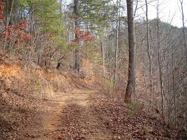 12 Cedar Cliff Stovall, Tuckasegee, NC 28783