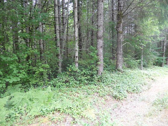 4th image of 0 Lot 10 Tahuya River Rd