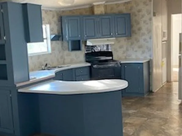 344 Mesquite Ln Unit 41, Mercedes, TX 78570