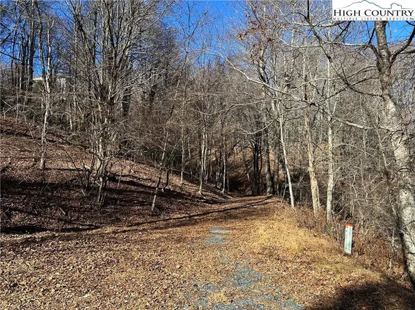 TBD Wyeth Drive, Blowing Rock, NC 28605