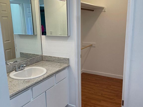MASTER BEDROOM VANITY WITH MIRRORED MEDICINE CABINET AND WALK IN CLOSET