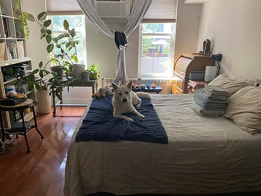 Rented by Belvedere Bridge Realty, LLC | media 2