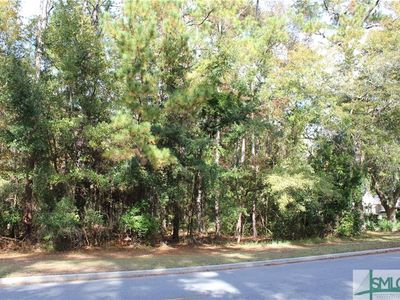 49 Little Comfort Rd, Savannah, GA, 31411