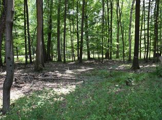 Tbd Hiawatha Dr, Mount Pleasant, MI 48858