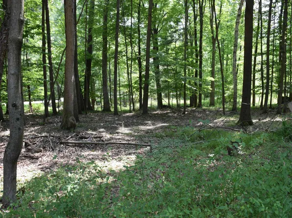 Tbd Hiawatha Dr, Mount Pleasant, MI 48858