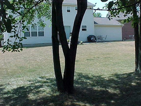 3rd image of 6877 Greentree Pl