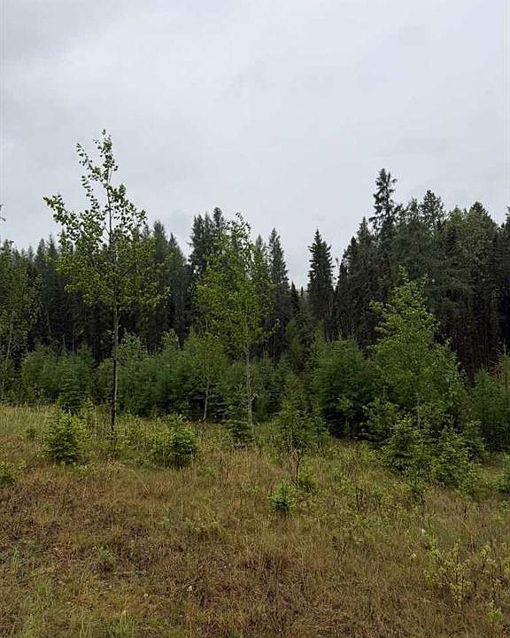 2nd image of 505 Clearwater Estates Cres