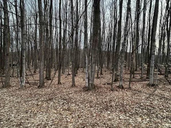 LOT 191 Hilltop Rd, Bellaire, MI 49615