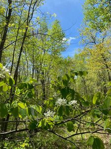 4973 Deer Run Trl, Sturgeon Bay, WI, 54235