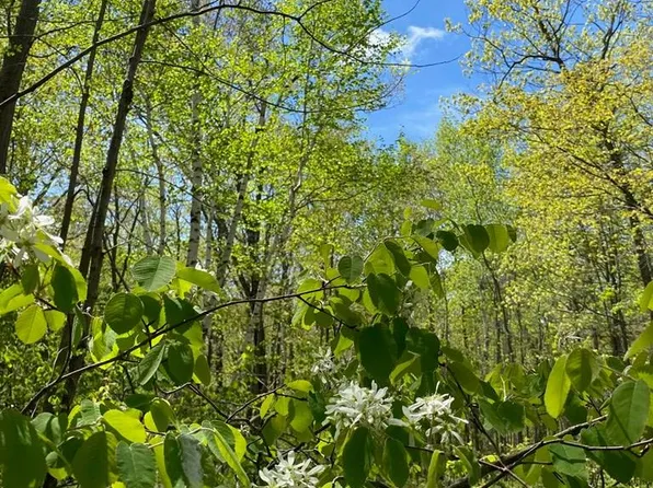 4973 Deer Run Trl, Sturgeon Bay, WI 54235