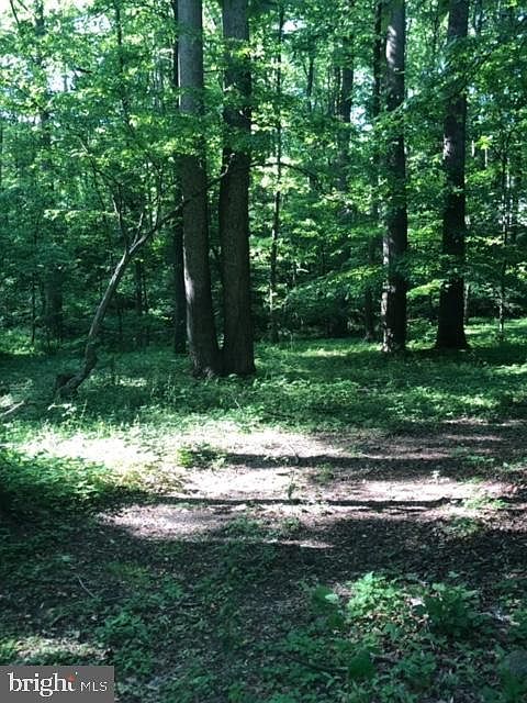 2nd image of 10575 Billingsley Rd