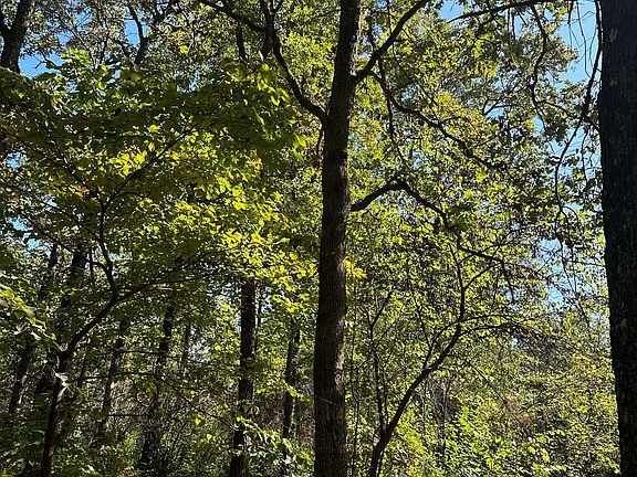 4th image of 10140 County Road 6610