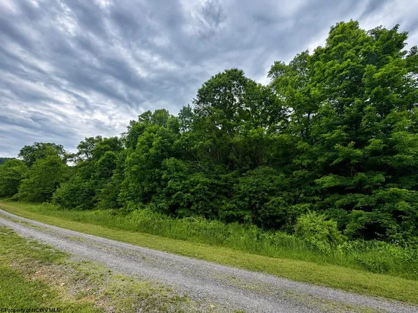 6 Iron Horse Ln, Dryfork, WV 26263