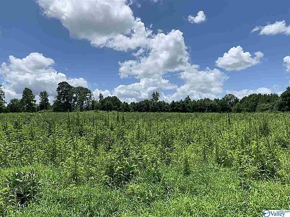 5th image of 7895 Us Highway 278 W